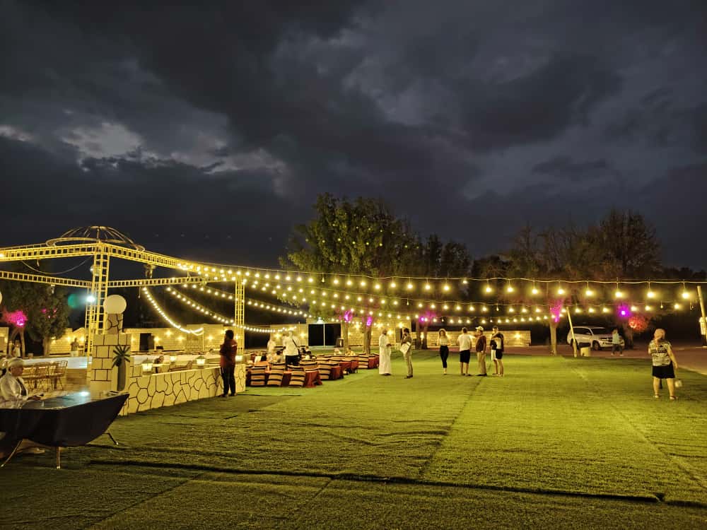 Dubai Desert Safari morning adventure with 4x4 dune bashing and scenic desert views